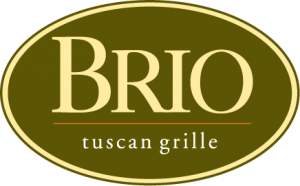 Brio Clickable Logo